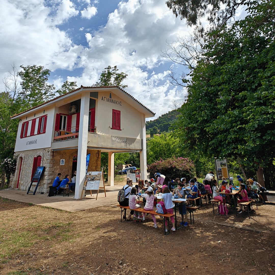 School visits in Kyparissia