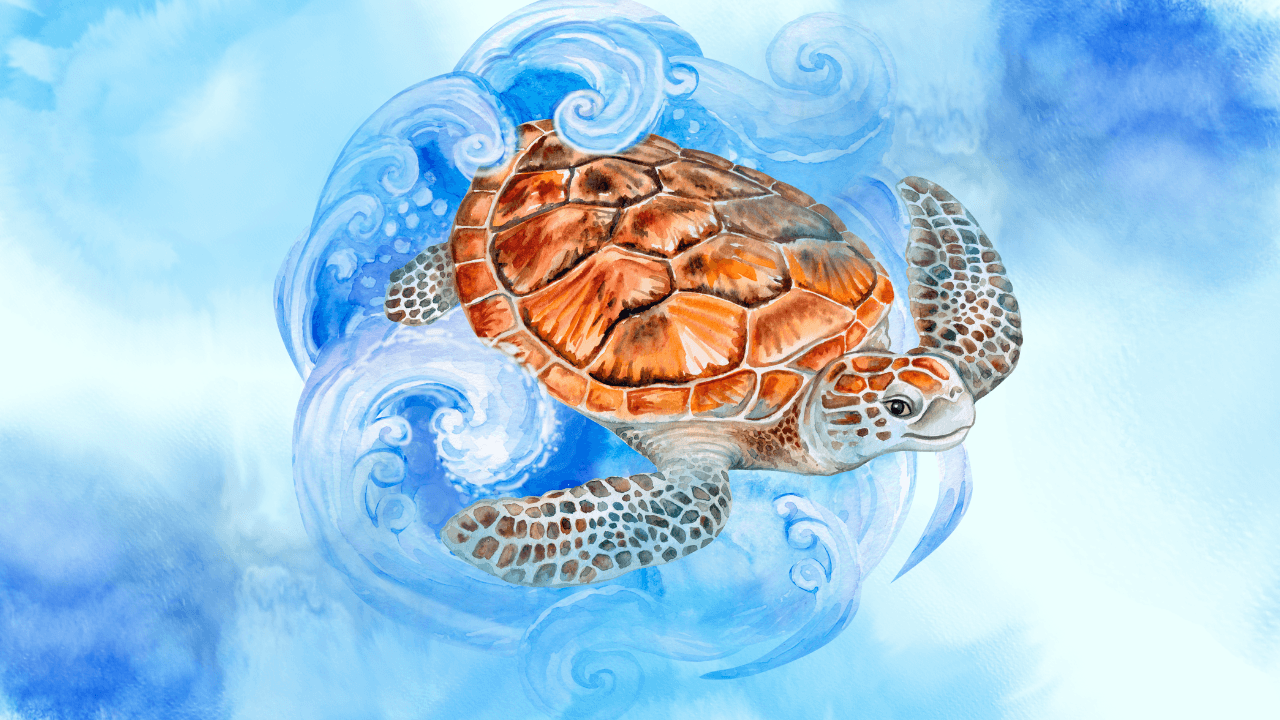 sea turtle watercolour competition