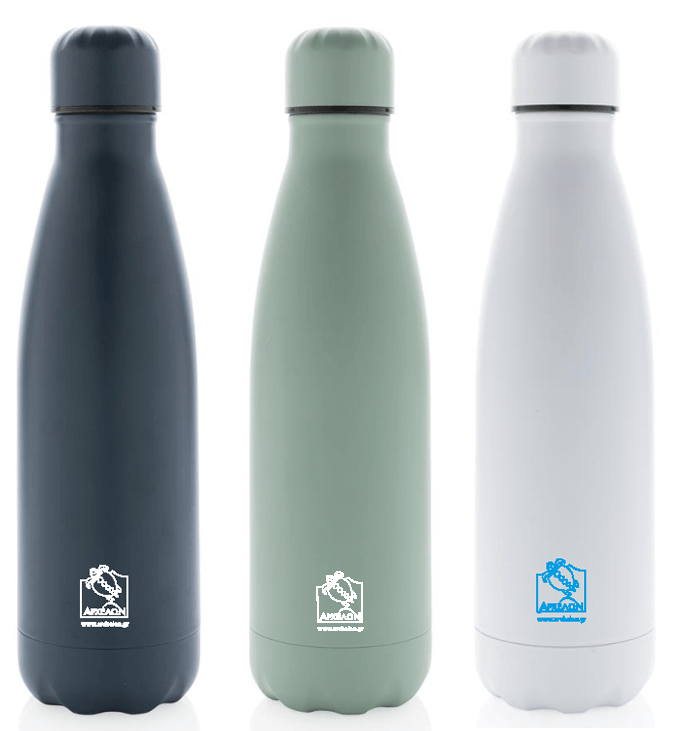 Stainless Steel bottle.png